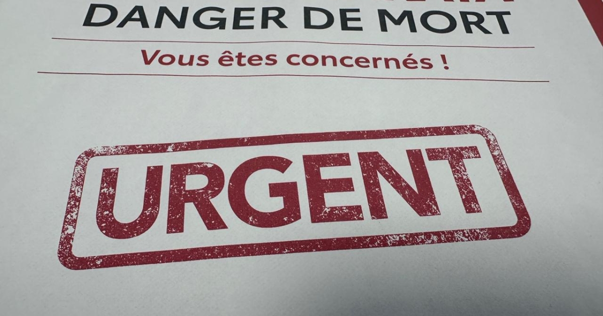     Airbags Takata : la mobilisation des usagers concernés ralentit

