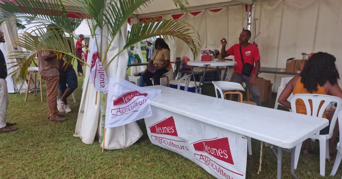     Journée agricole : une trentaine d’exposants font découvrir leurs produits à Baie-Mahault

