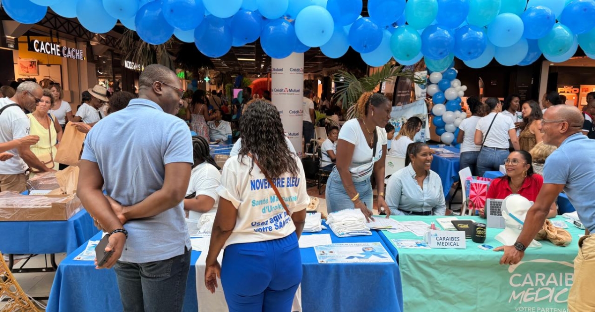      Prévention des cancers masculins : Movember en action en Martinique

