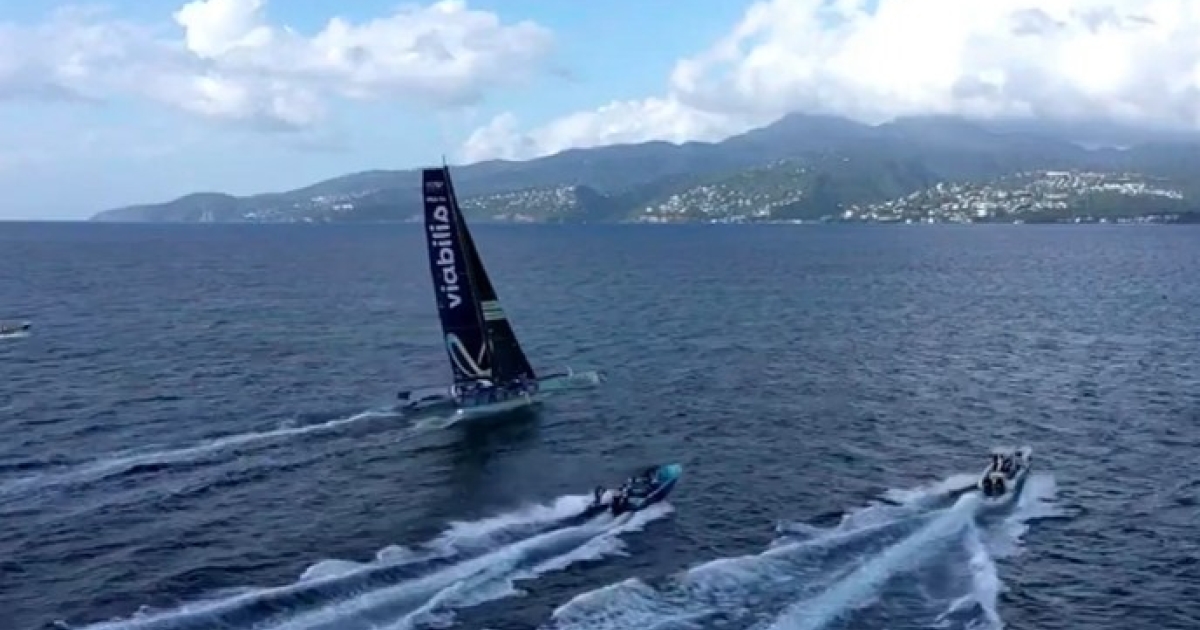     Transat Café l'Or 2025 : Viabilis Océans s’impose dans la catégorie Ocean Fifty à Fort-de-France

