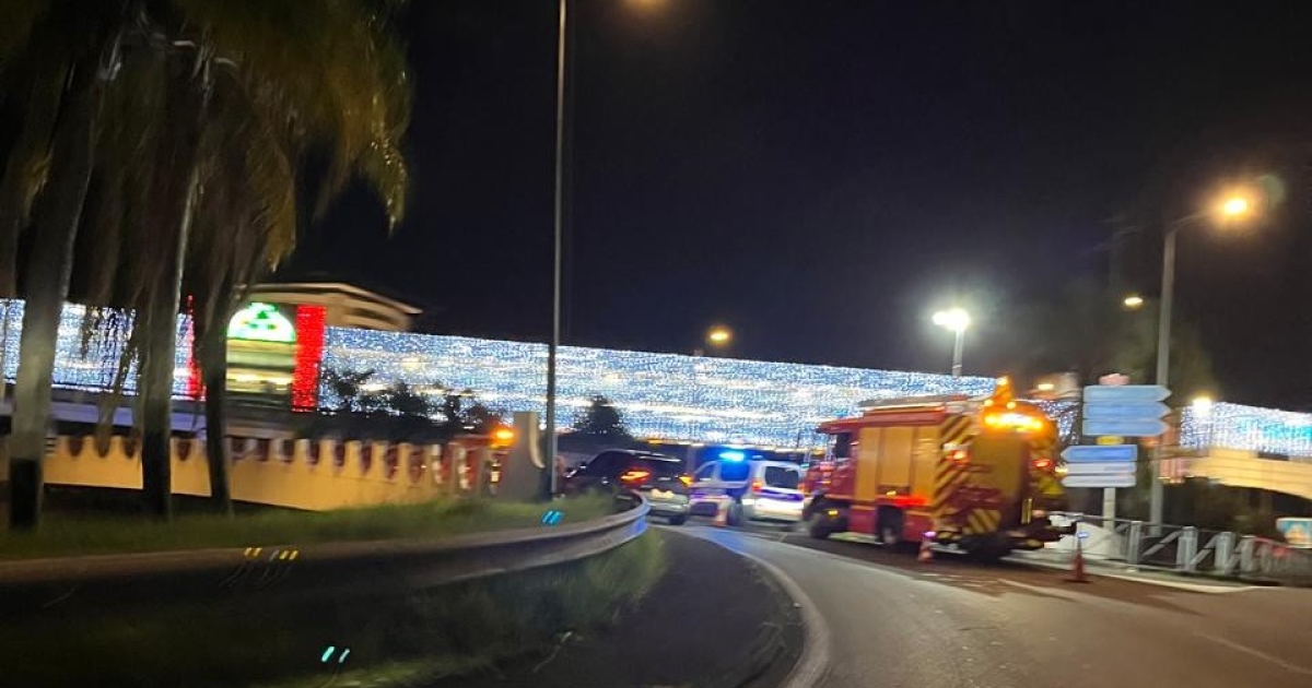     Pompiers et policiers prennent en charge une femme en grande détresse sur un pont de l'autoroute

