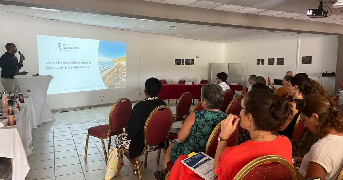     L’IFRECOR constate un état des lieux alarmant des récifs coralliens en Martinique

