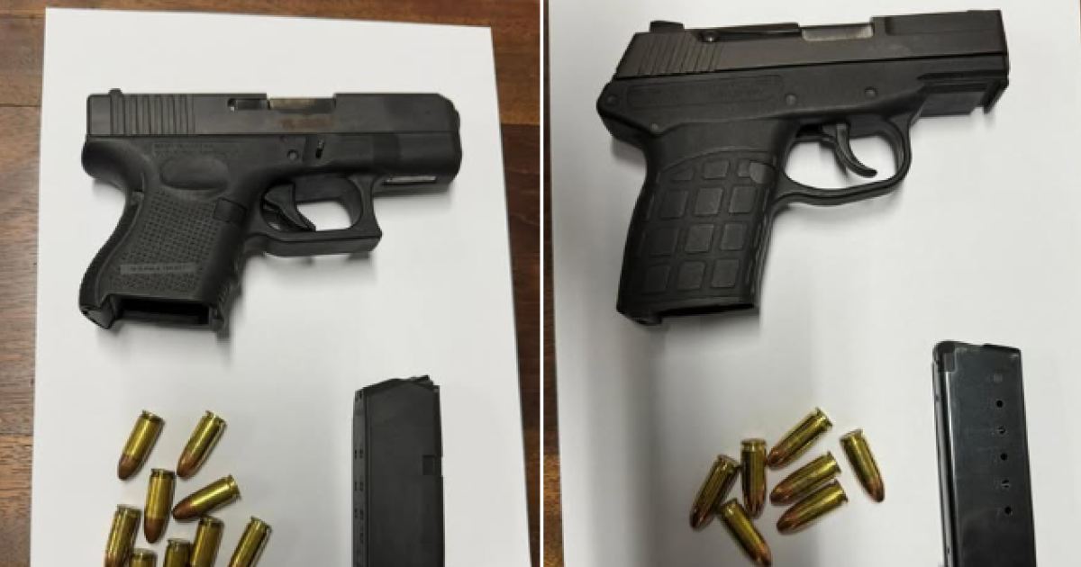      3 ans de prison pour l’automobiliste interpellé avec deux armes chargées

