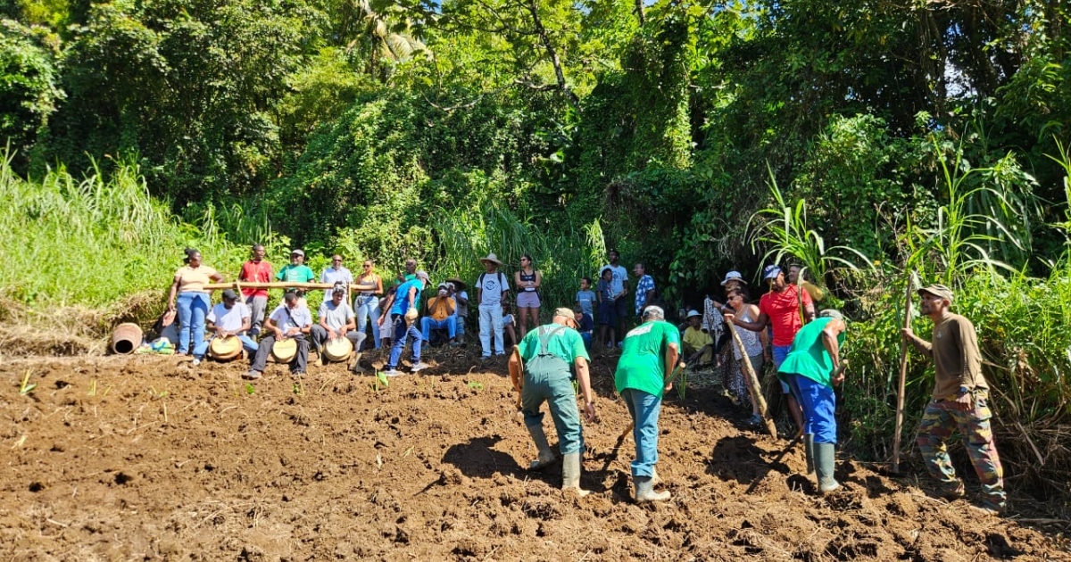     « Bélya pou Lasotè » : une journée pour célébrer la culture agricole, à Fonds-Saint-Denis

