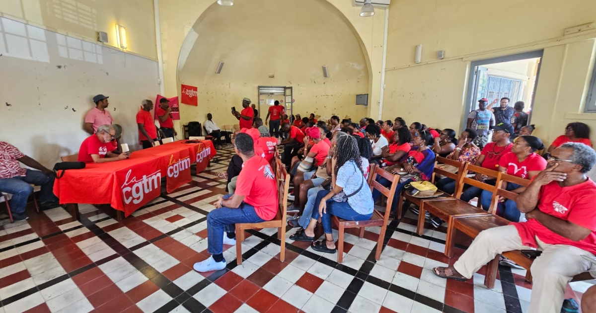     Grève du 2 décembre : les syndicats mobilisés, mais faible participation en Martinique


