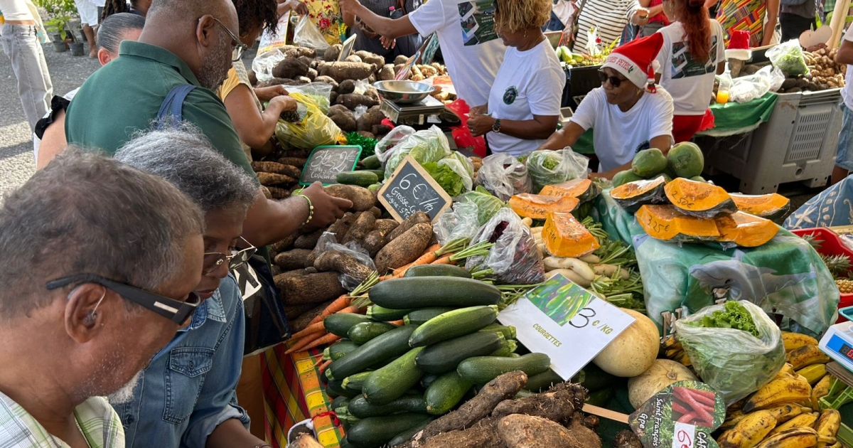     [EN IMAGES] « Jou a tradisyon » célèbre les savoir-faire locaux ce dimanche à Jarry

