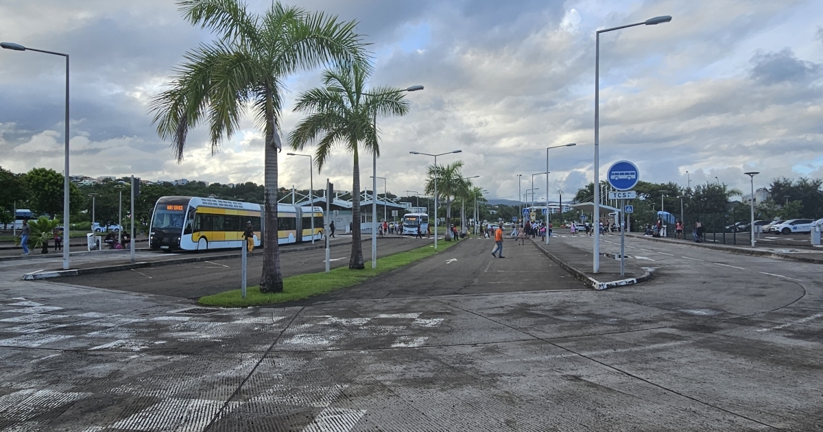     La police lance un appel à témoins après le meurtre de Mahault, au Lamentin

