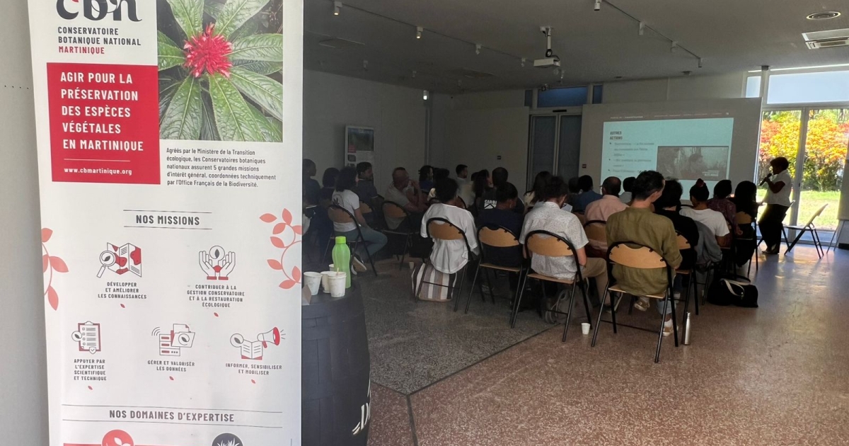     Le Conservatoire botanique de Martinique se prépare à renouveler son agrément

