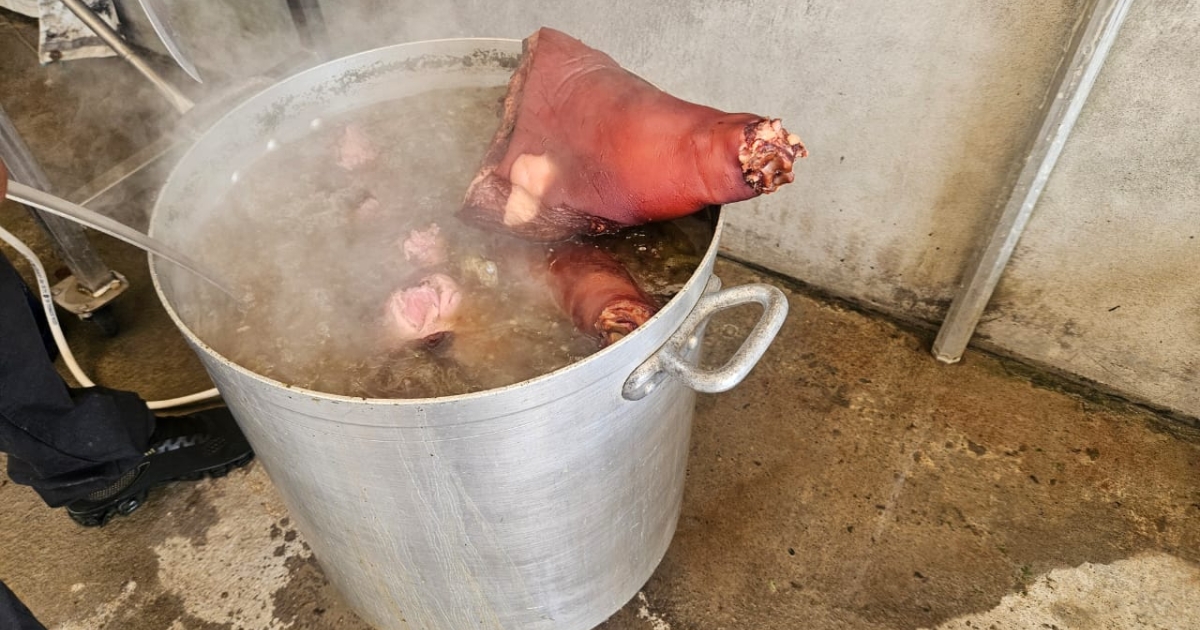     Le jambon nwel boucané séduit les papilles en période de fête

