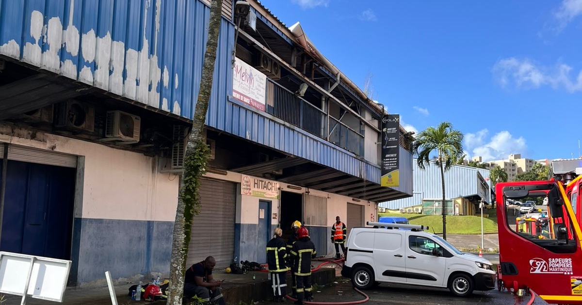     Un incendie se déclare dans un bâtiment de la Zac de Rivière-Roche

