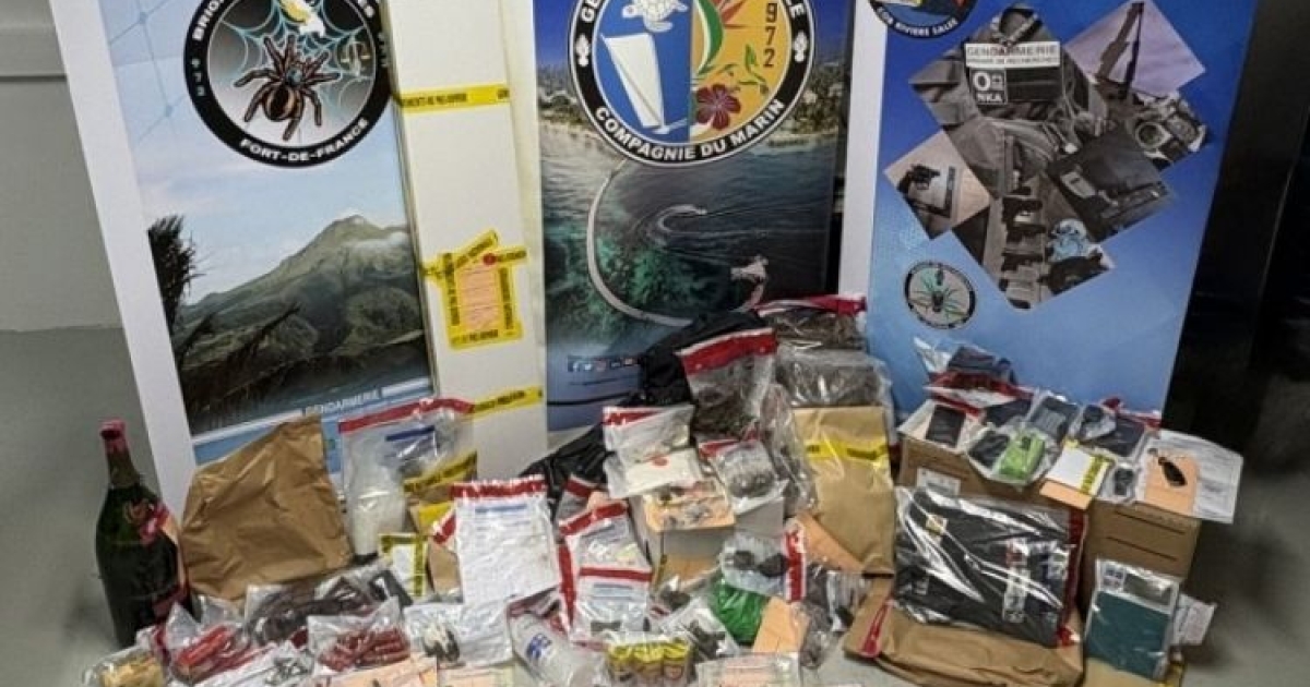     Un point de deal et un laboratoire de production de crack démantelés par les gendarmes

