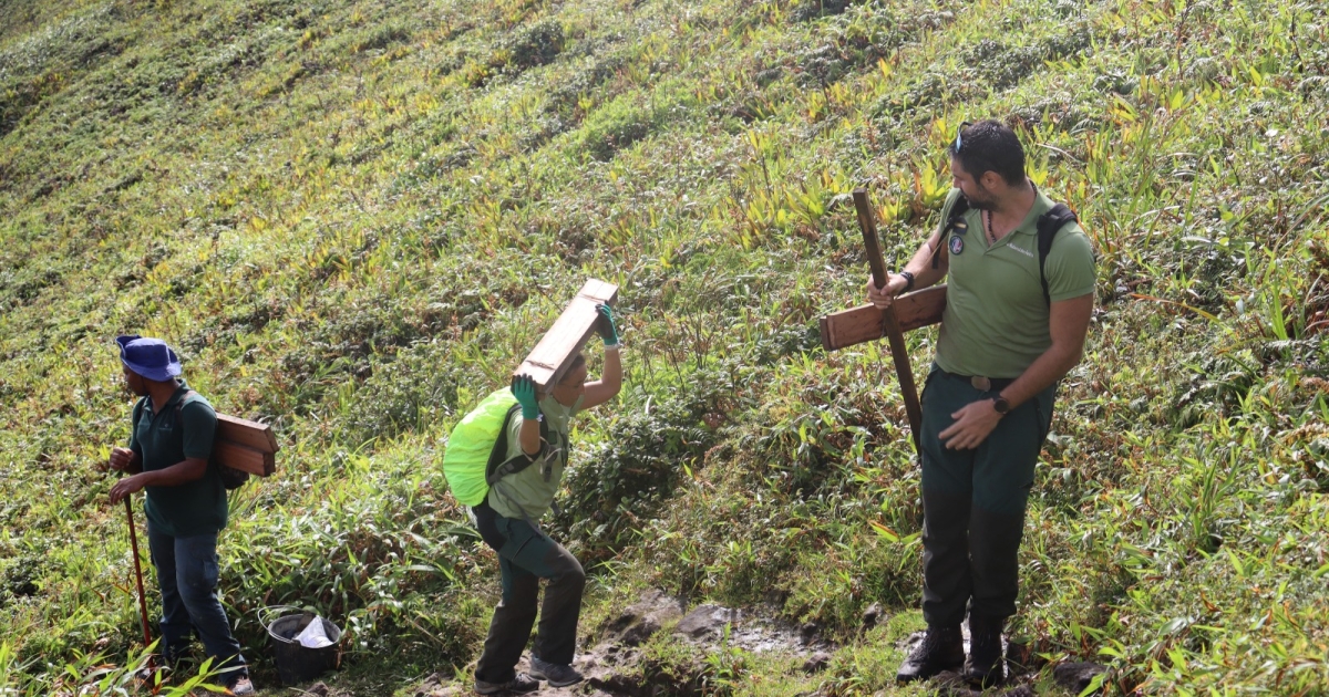     A la Montagne Pelée, le sentier de la Caldeira est de nouveau ouvert au public


