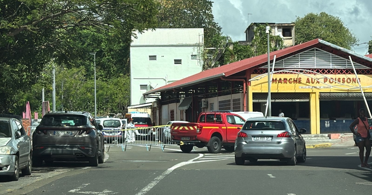     Meurtre de Fort-de-France : un suspect interpellé et placé en garde à vue

