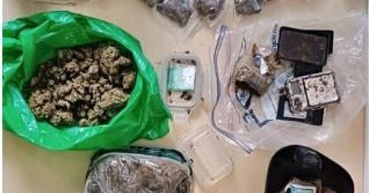     Cocaïne, herbe et résine de cannabis : le bon flair des chiens policiers au Lamentin

