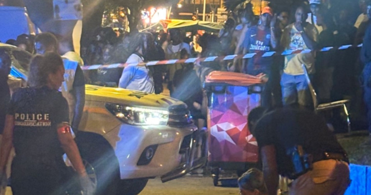     Décès d’Anthony Sarazin lors du déboulé carnavalesque de Pointe-à-Pitre

