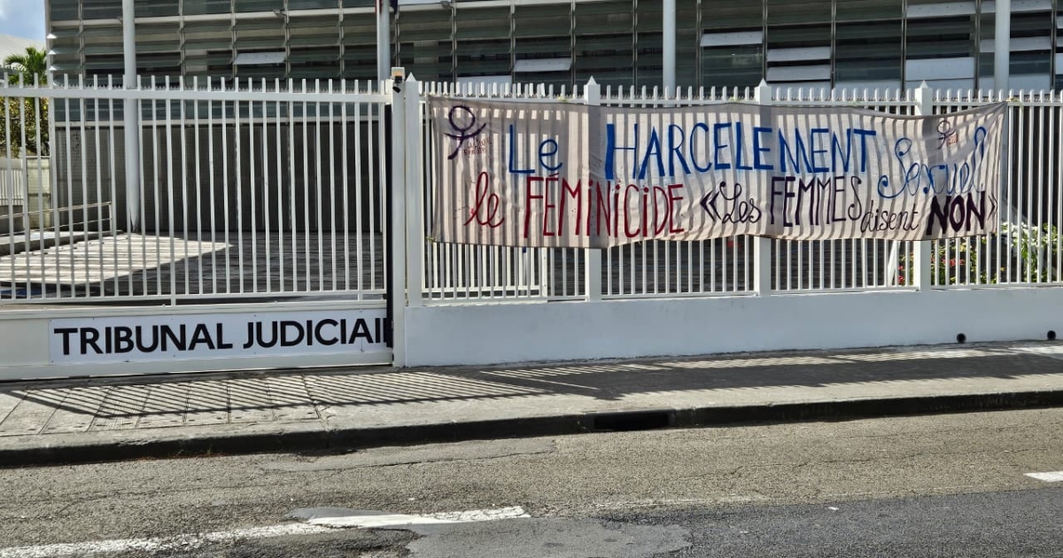     Meurtre de Karina : l'avocat général requiert 25 ans de réclusion à l'encontre de Sylvain Kereneur

