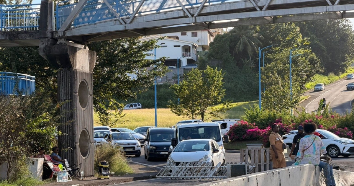     Mobilisation anti-sargasses au Robert : le mouvement se durcit, la parade carnavalesque menacée

