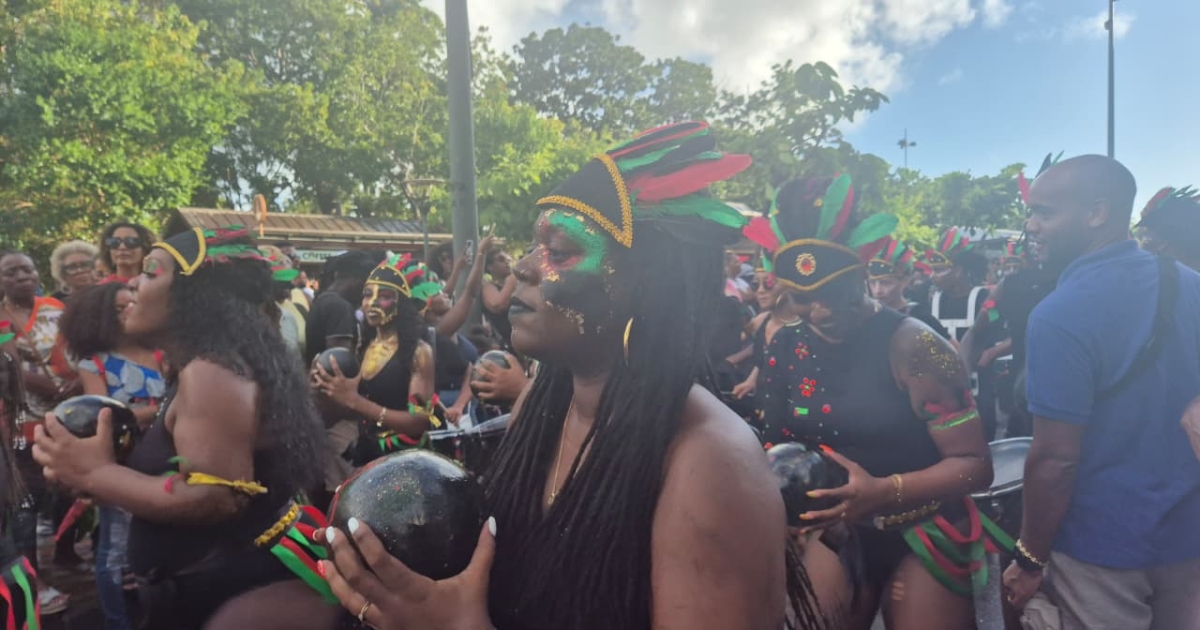     Carnaval de Martinique 2026 : malgré les averses les groupes à pieds ont enflammé Fort-de-France

