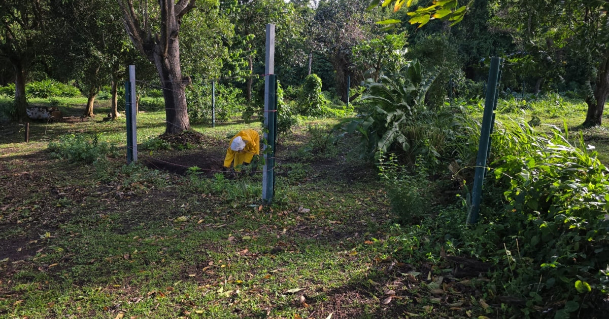     À Saint-Jean Bosco, l'ambition d'exploiter la terre via l'insertion

