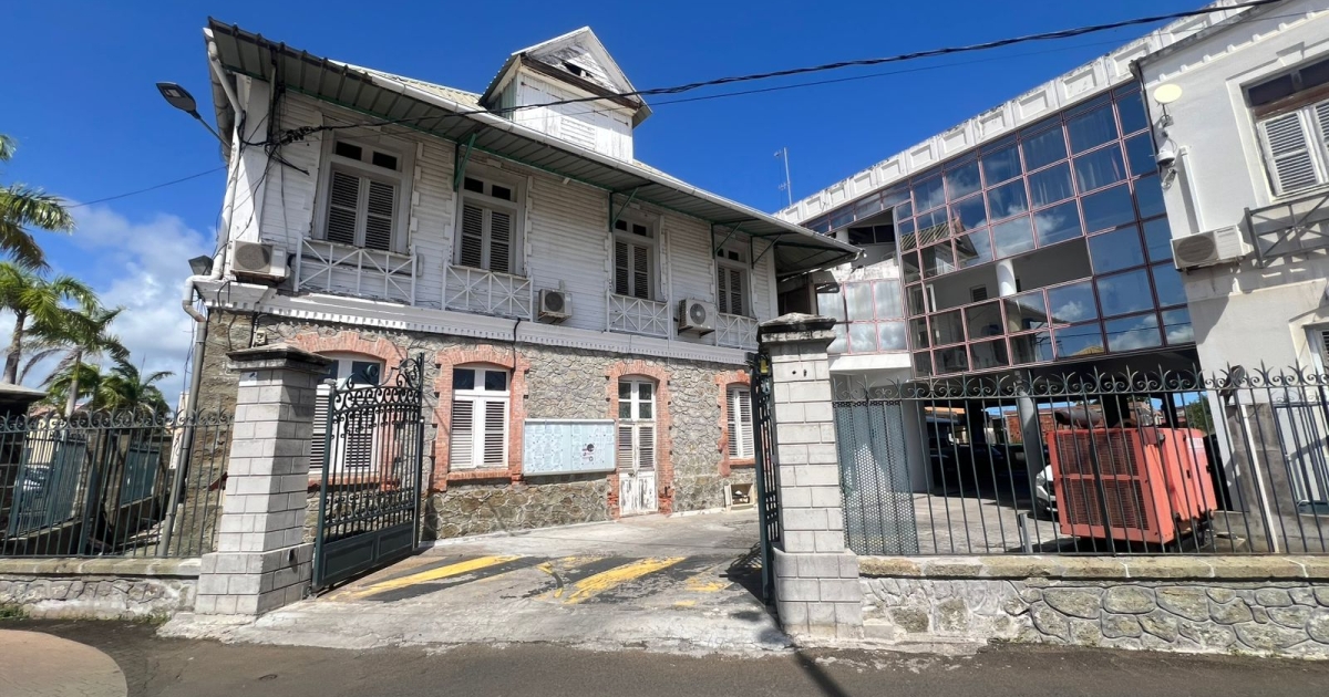     Carnaval de Martinique 2026 : la grande parade du Sud n'aura pas lieu au François, ni ailleurs


