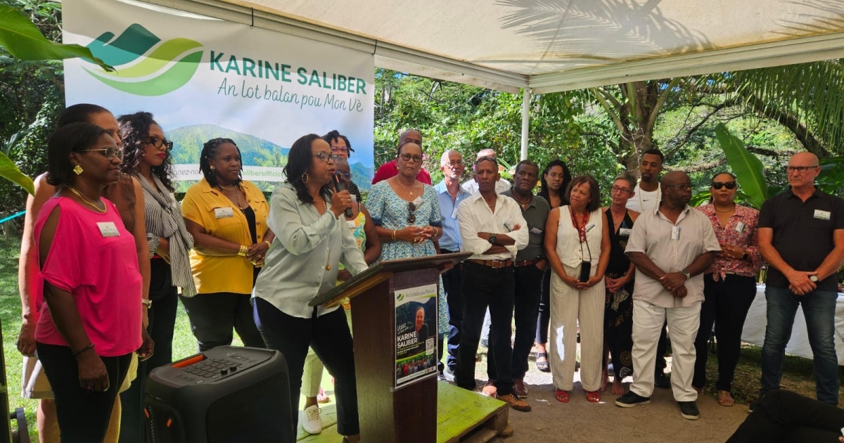     Saint-Honoré, Delor, Saliber... les nouvelles annonces de candidatures aux municipales en Martinique

