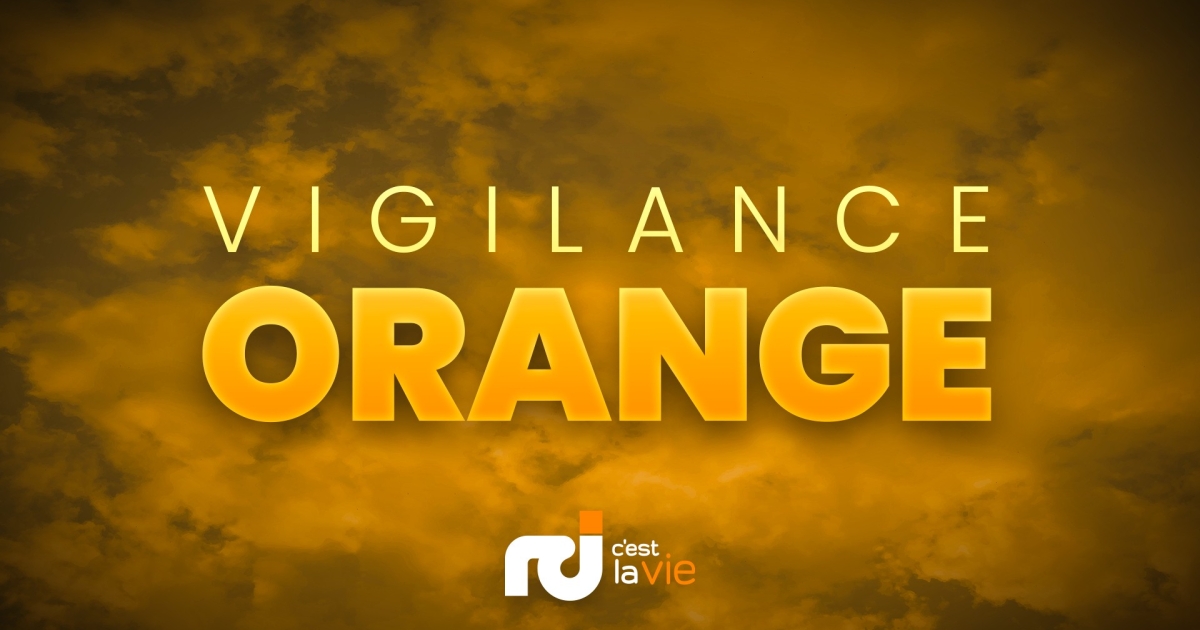     La houle se renforce : la vigilance orange pour vagues-submersion activée pour le Nord Caraïbe

