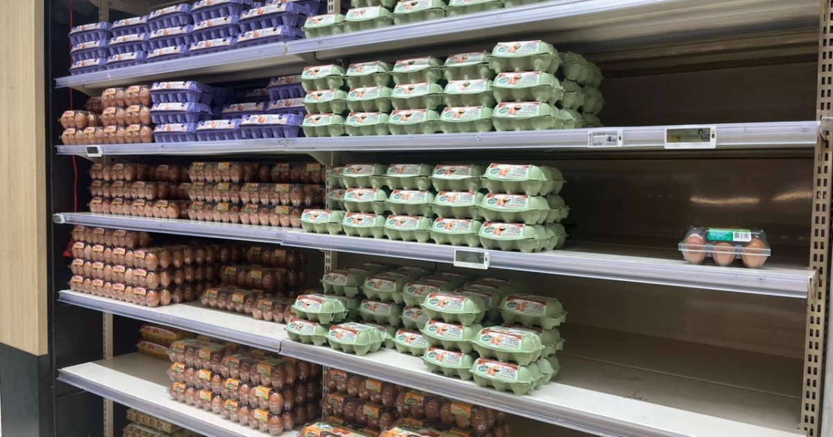     Pénurie d’oeufs : des rayons de plus en plus clairsemés en Martinique

