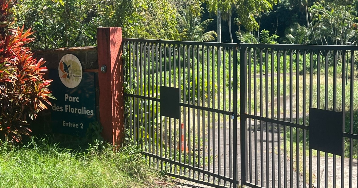     Trois-Îlets : la CTM mise sur le privé pour faire renaître le Parc des Floralies

