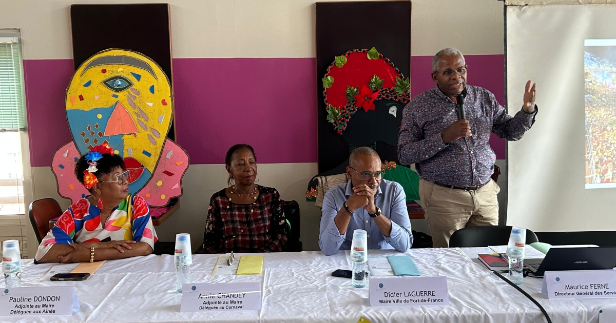     Carnaval de Martinique 2026 : "Accueillir le public dans les meilleures conditions" : Fort-de-France renforce son plan de sécurité pour les jours gras

