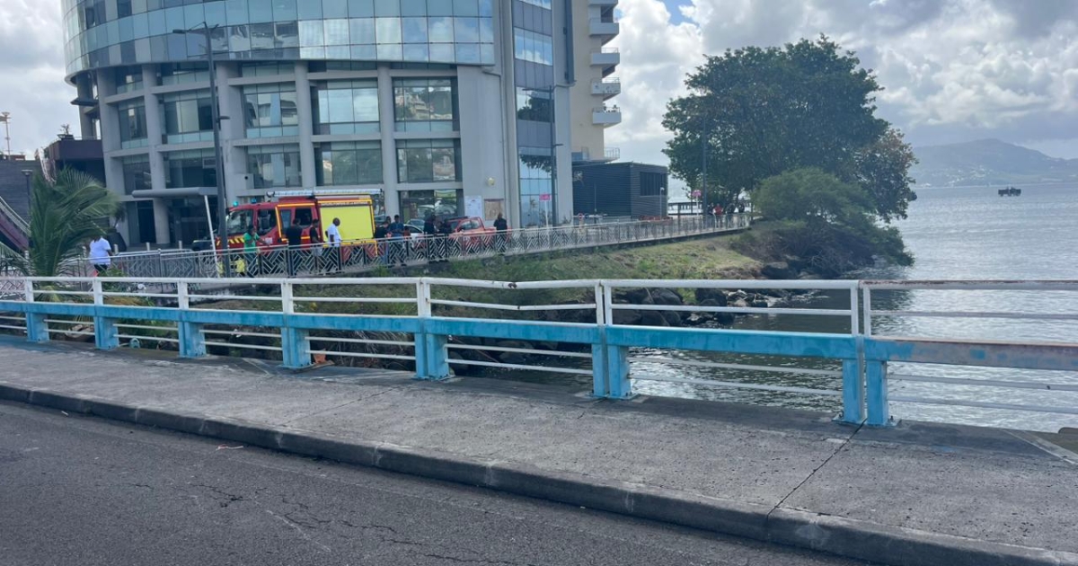     Un corps flottant retrouvé dans le canal Levassor près du pont Francisco

