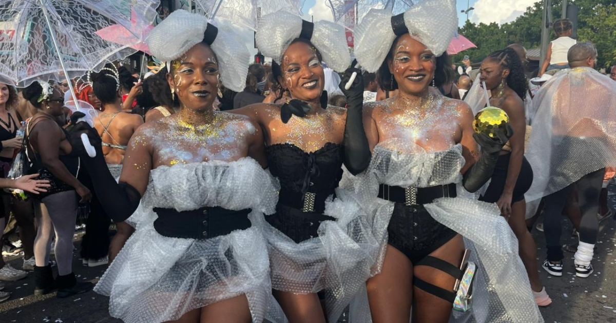     Carnaval 2026 : en noir et blanc, les carnavaliers en liesse une dernière fois

