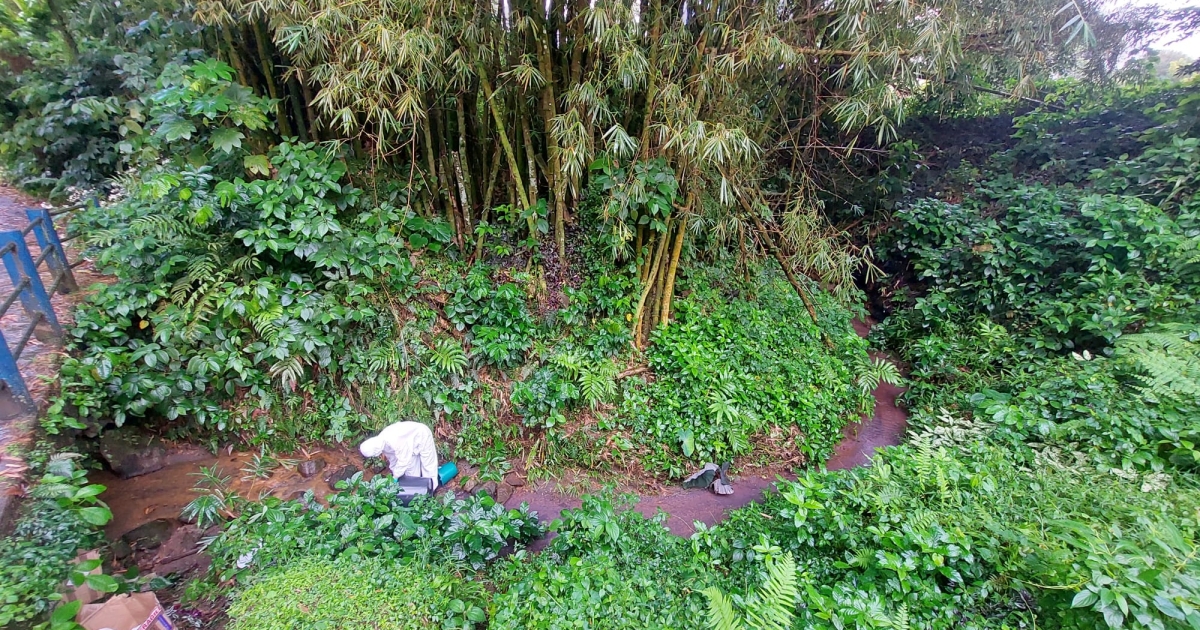     [VIDEO] CAP Nord mène une opération scientifique de traçage de la source Morestin au Morne-Rouge


