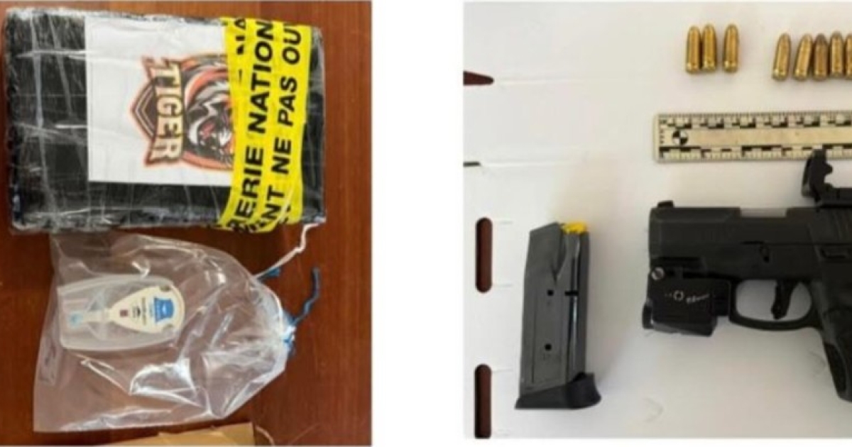     Ils volent une moto après un accident à Ducos, les gendarmes découvrent des armes et des minutions à leur domicile

