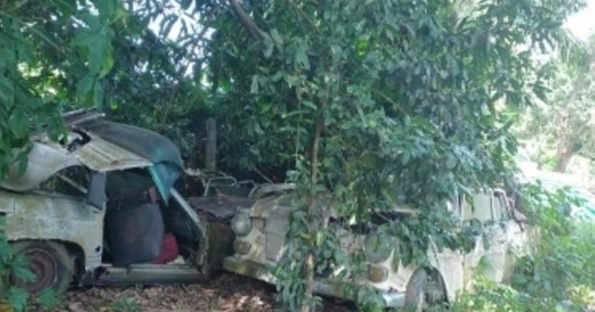     Pollution : les autorités neutralisent une décharge illégale à Petit-Bourg

