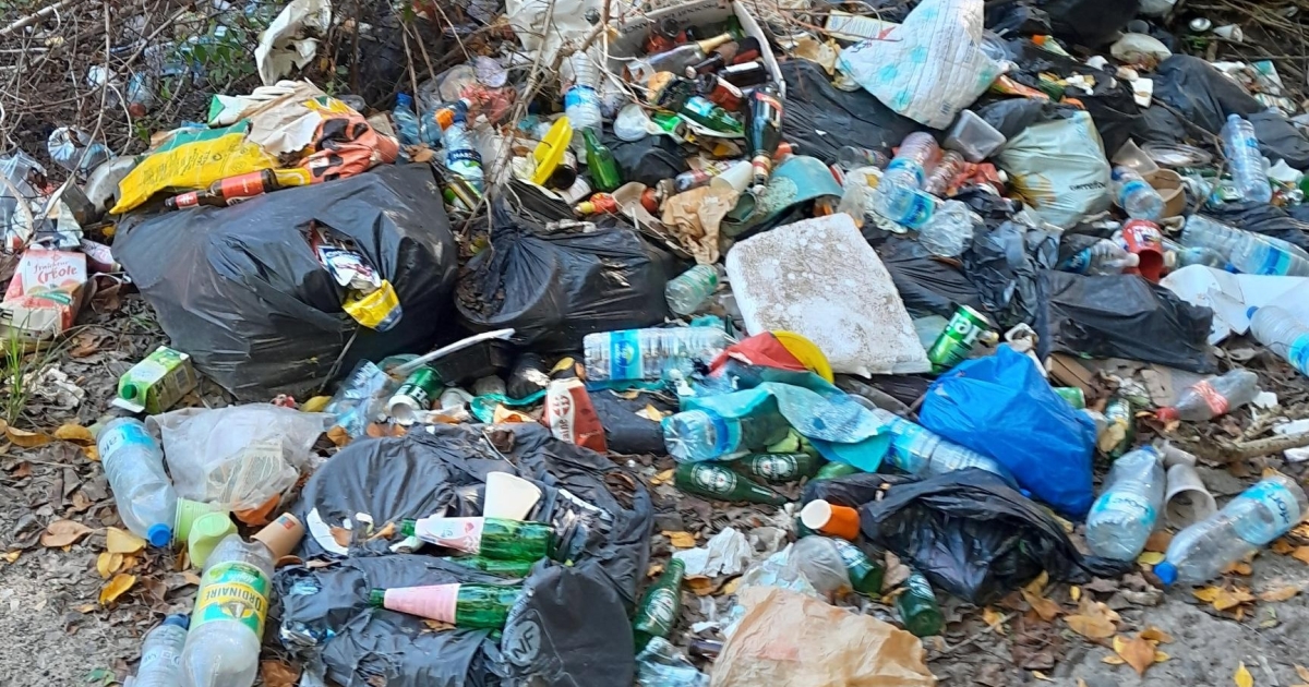     Dépôts sauvages à l'Anse Meunier : l'ONF renforce la surveillance et menace de sanctions les pollueurs

