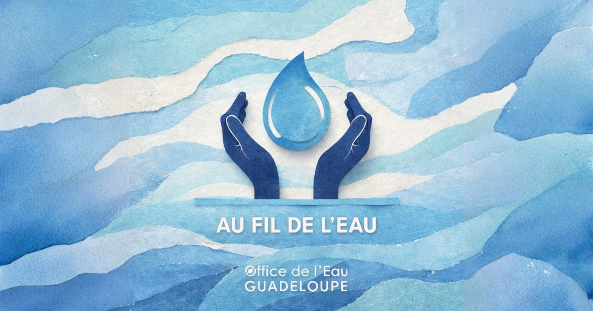     [Publi reportage] Au fil de l’eau : comprendre les enjeux de l’eau en Guadeloupe

