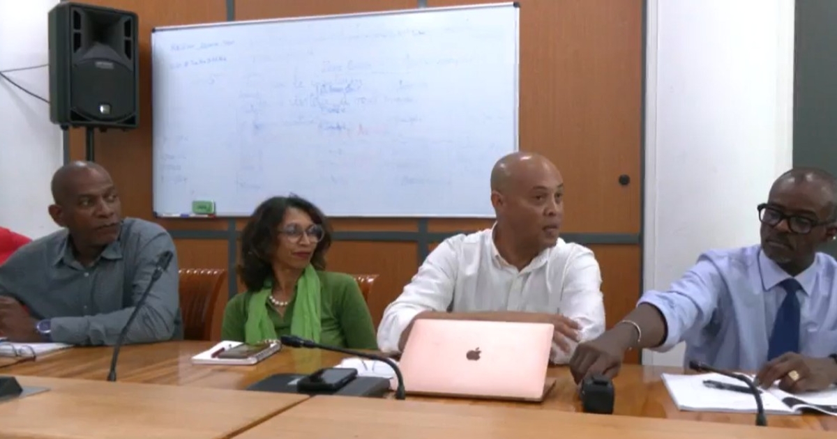     Le CESER et la Région Guadeloupe présentent leur rapport d'expertise sur l'évolution institutionnelle

