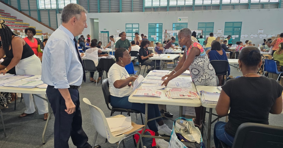     Municipales 2026 : à Basse-Terre, une armée de volontaires pour mettre les bulletins de vote sous pli

