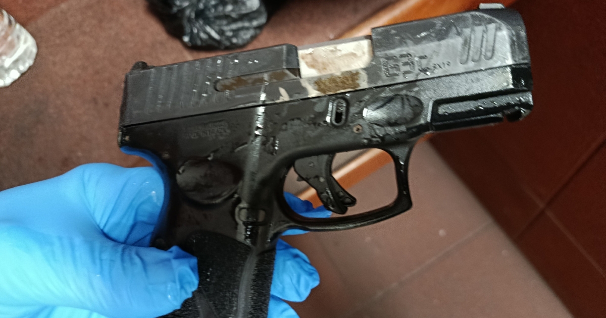     Une yole transportant une arme à feu et un serpent protégé interceptée à Fort-de-France

