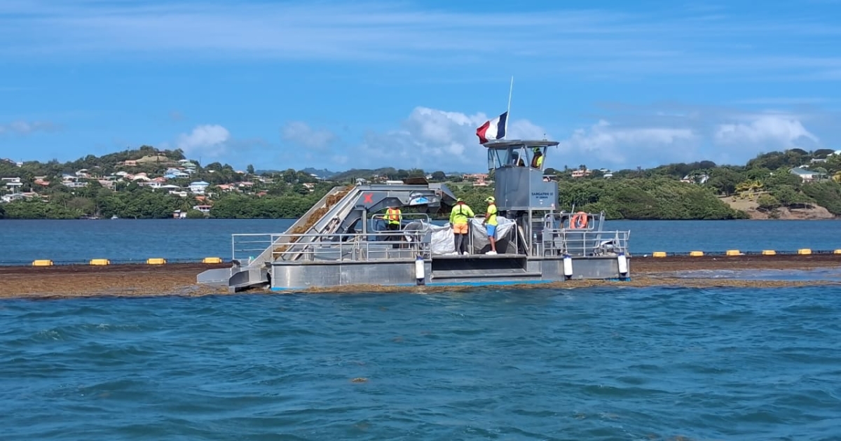     [Photos et vidéo] Au Robert et au François, le Sargator 3, bateau spécialisé dans le ramassage des sargasses, est entré en action

