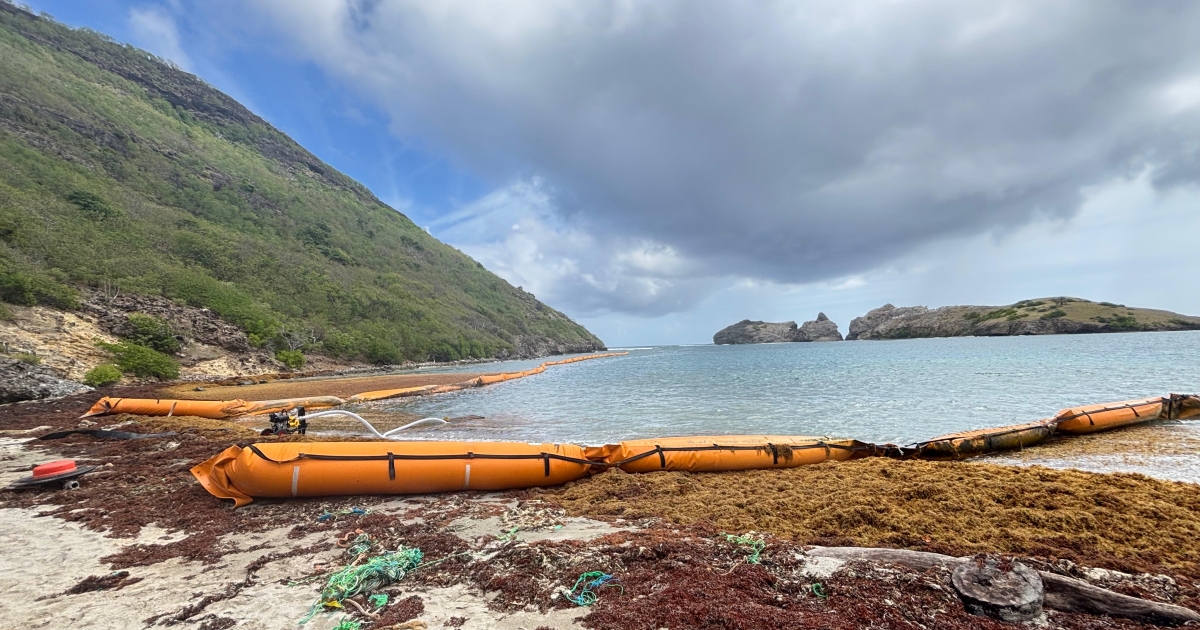     Le plan POLMAR activé pour un exercice simulant une pollution aux hydrocarbures aux Saintes

