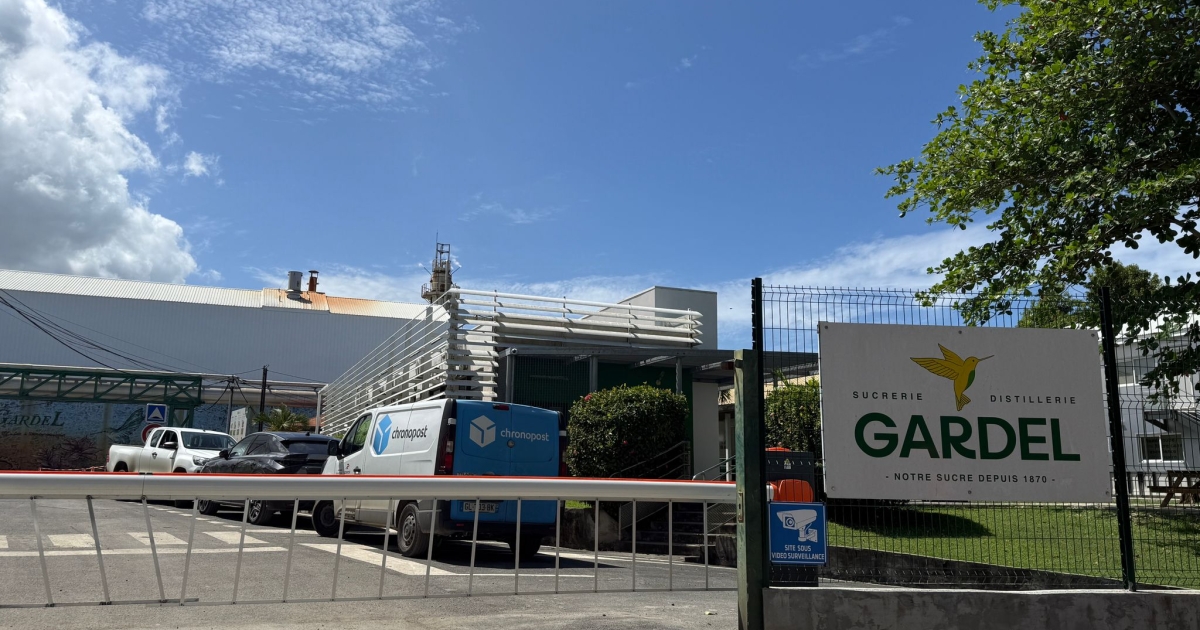     Campagne sucrière 2026 : un démarrage sous pression après trois semaines de retard à l'usine Gardel

