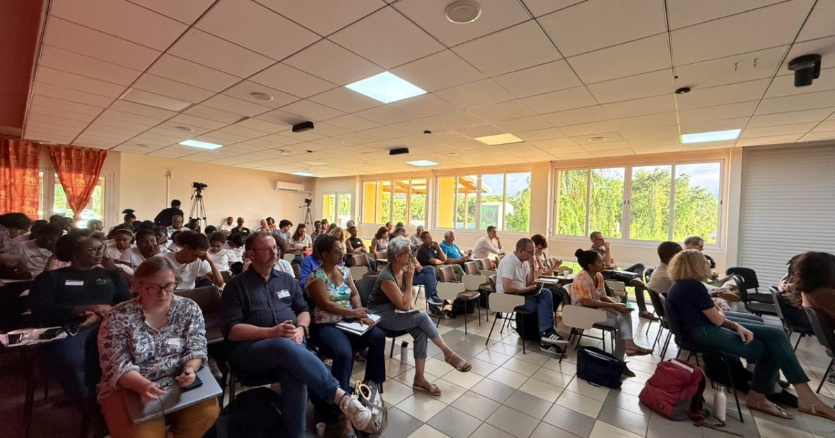     Souveraineté et biodiversité : l’INRAE et ses partenaires repensent l’économie agricole en Guadeloupe

