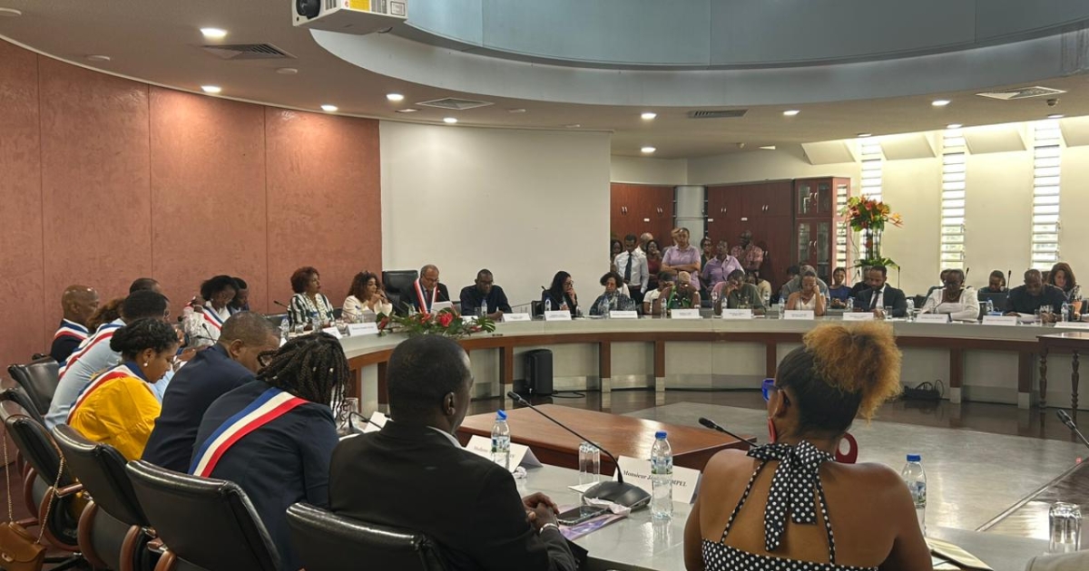     David Zobda, installé maire du Lamentin, prône "une action globale"

