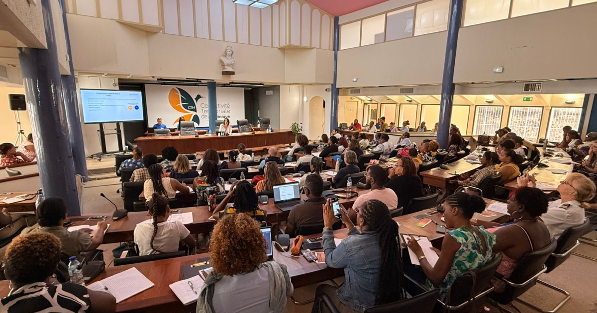     Violences faites aux femmes : un colloque pour encourager la parole en Martinique

