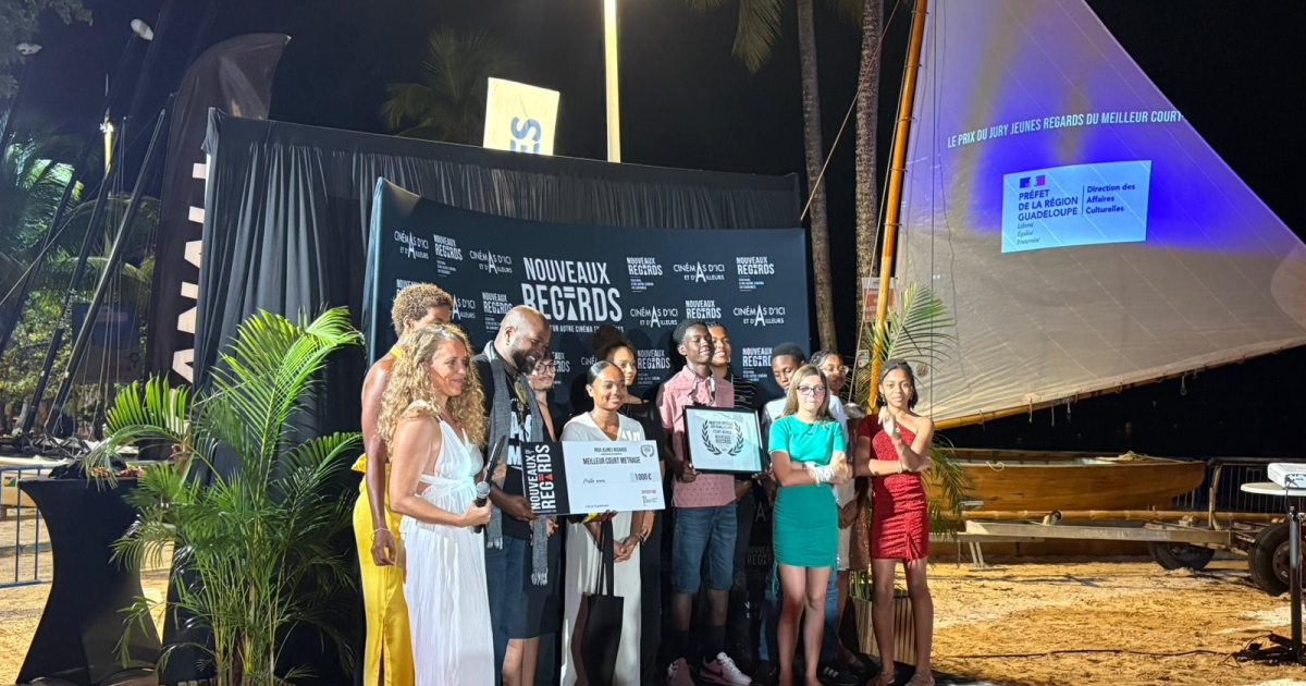     Festival Nouveaux Regards : les réalisateurs antillo-guyanais récompensés lors de la soirée de clôture 

