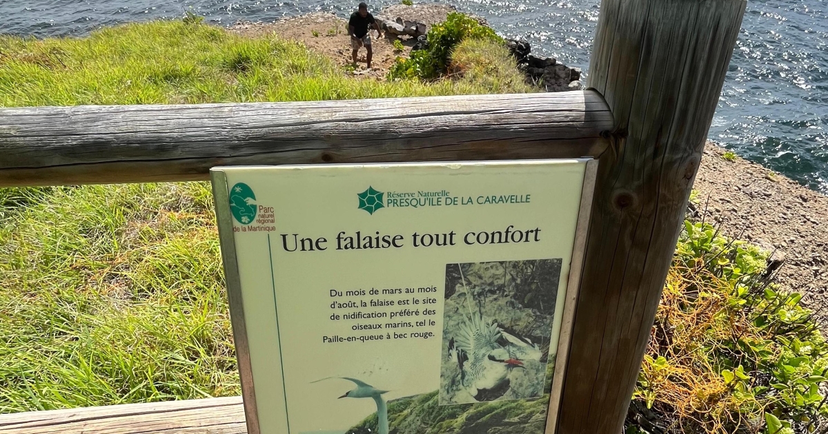     Un touriste de 70 ans recherché sur le sentier de randonnée de la Caravelle

