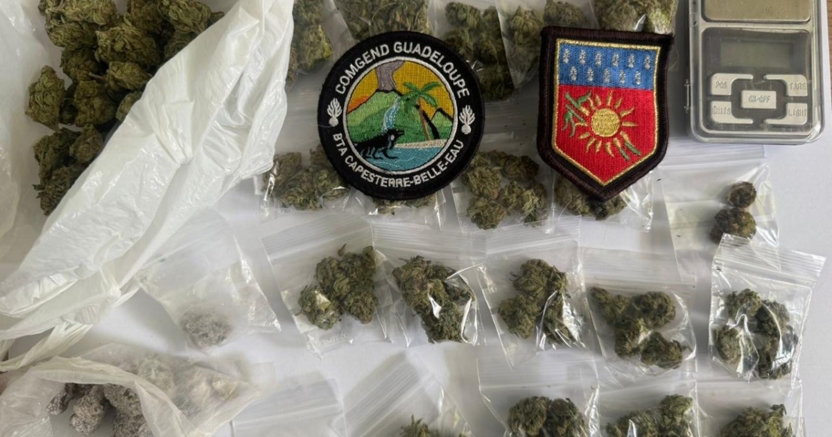     Les gendarmes interpellent un présumé trafiquant armé à Capesterre Belle-Eau

