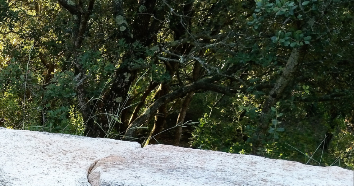     Elle descend de voiture, chute d'un pont et décède à l'Hermitage

