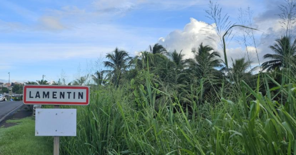     L'affaire "Thierry Lambert" contre ses locataires est appelée au tribunal

